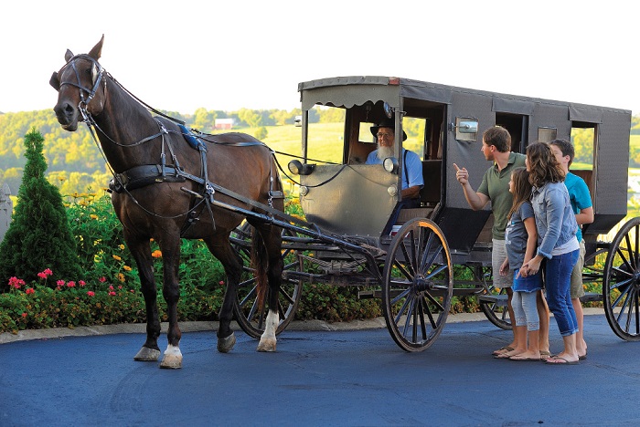 Amish Buggy Ride at Der Dutchman