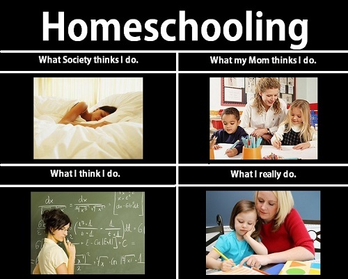 Homeschooling Parent Meme