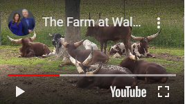 Video of The Farm