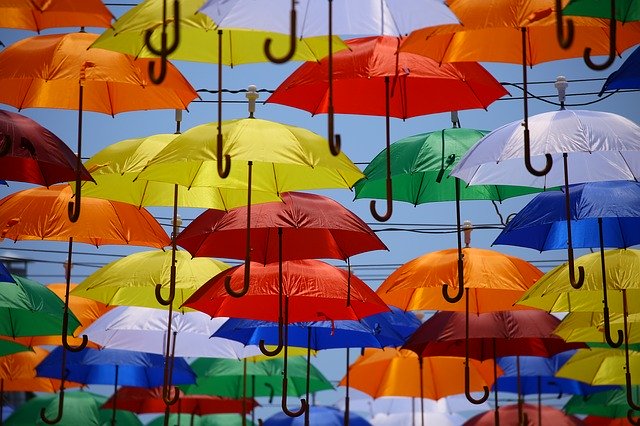 Information About Umbrella Schools