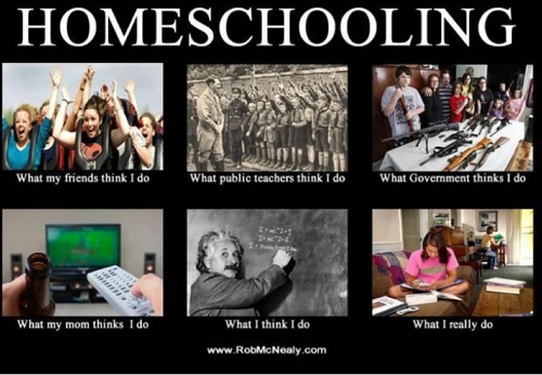 Homeschooling Student Meme